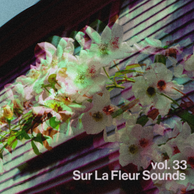 Sur La Fleur Sounds vol. 33 album art cover art design graphic design music photography typography visualdesign