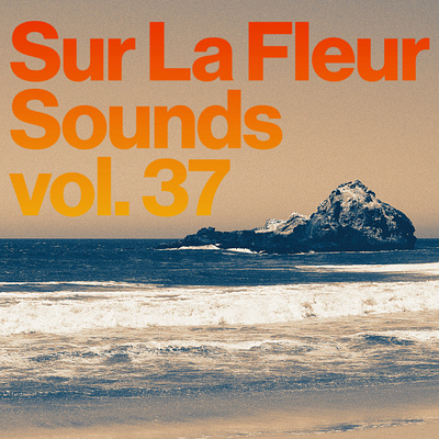 Sur La Fleur Sounds vol. 37 album art cover art design graphic design music photography typography visualdesign