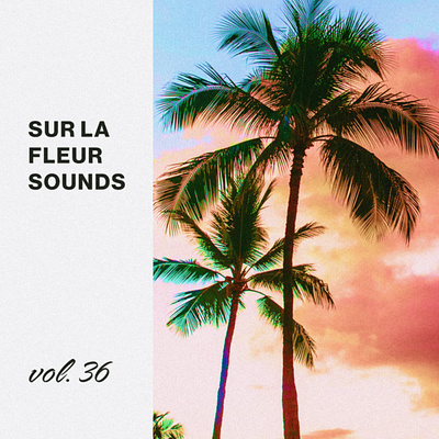 Sur La Fleur Sounds vol. 36 album art cover art design graphic design music photography typography visualdesign