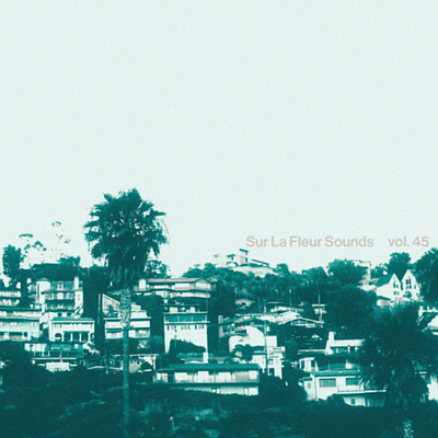 Sur La Fleur Sounds vol. 45 album art cover art design graphic design music photography typography visualdesign