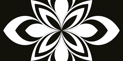 Playing with Shapes | Black and White Mandala adobe art black and white design digital digital art elegant graphic design illustration illustrator mandala procreate smooth wow factor
