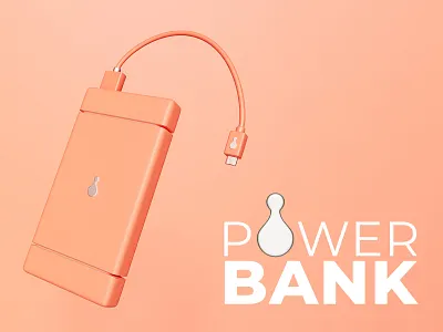 PowerBank charger