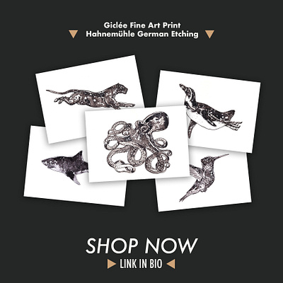 Space Ark Animals animal art animal illustrations animals brand brand identity branding children illustrator design galaxy illustration illustration art illustrators illustrazione ink nature space space design space designs watercolor watercolour