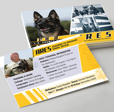 LASD K-9 unit information cards branding design graphic design