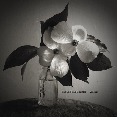 Sur La Fleur Sounds vol. 52 album art cover art design graphic design music photography typography visualdesign