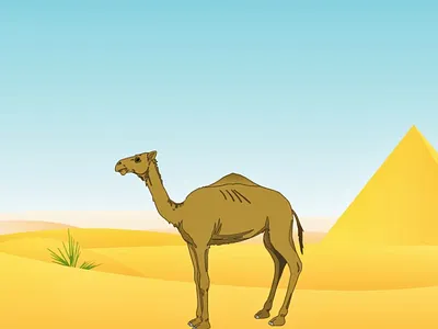 Vector Illustration illustration