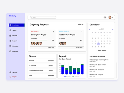 Project Management Dashboard design ui ux