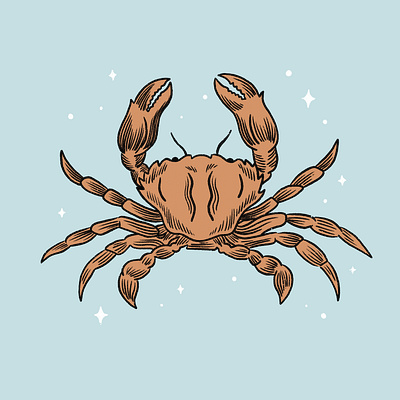 Crab illustration art drawing hand drawn illustration nature