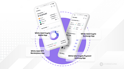 White label crypto exchange development process