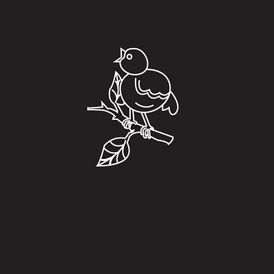 BIRD | LOGO | Branding bird brand branding creative design designs graphic design illustration logo logos logotype vector