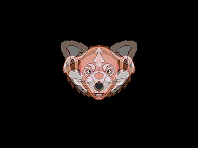 Boo concept art brain design digital halloween illustration panda red red panda scull