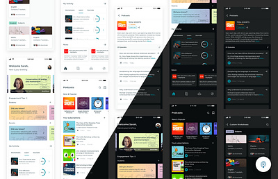 🎓 EdTech UX Design – Light & Dark Mode