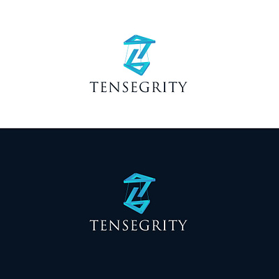 Tensegrity branding design graphic design logo logo design