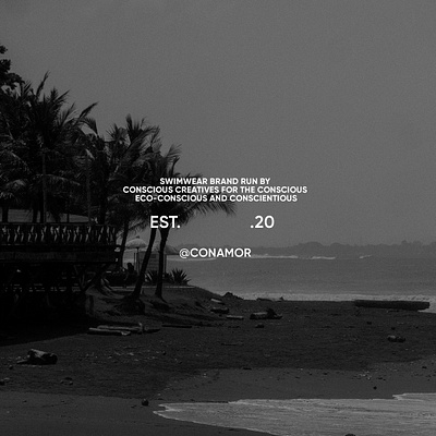 Brand Identity | Con amor brand identity branding design graphic design identity logo logo designer logotype swimwear brand