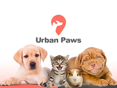 Urban Paws Branding brand identity branding design dog graphic design logo design pet logo pet shop