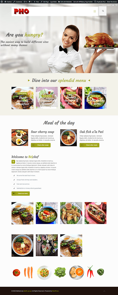 Website design 3d animation branding design ecommerce elementor graphic design illustration landing page logo motion graphics product design shopify store shopify website squzee ui