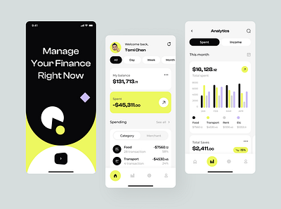 Manage your money app | Rippic analytics app bank category concept design figma finance fintech fireart fireart studio income management mobile app money profit spent ui ux web design