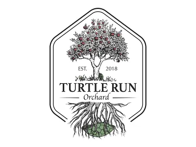 Turtle Run Orchard Logo branding design graphic design illustration logo logo design