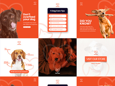 Social media - Dog and pet care ads ads design advertising agency banner banner design branding design facebook google ad banner graphic design instagram post instagram story instagram template pet petcare social media social media design social media pack web banner