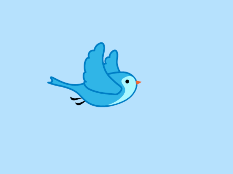Bird for Simulation Animation animation illustration motion graphics vector