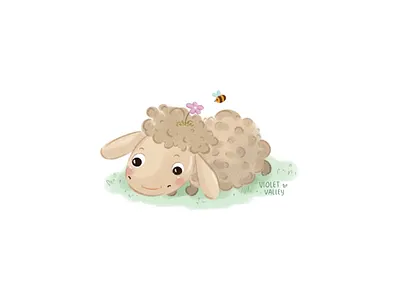 Little sheep hand drawn little sheep sheep