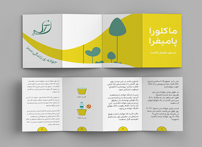 Instructions book design branding colors creativity design flat graphic design graphicdesign guide illustration illustrator instructions logo minimal photoshop plant vector