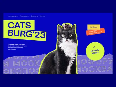 Cats exhibition concept #1 branding cats design graphic design illustration photoshop typography ui