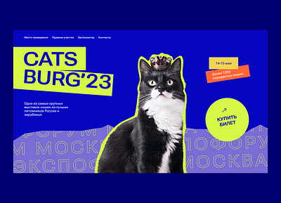 Cats exhibition concept #1 branding cats design graphic design illustration photoshop typography ui