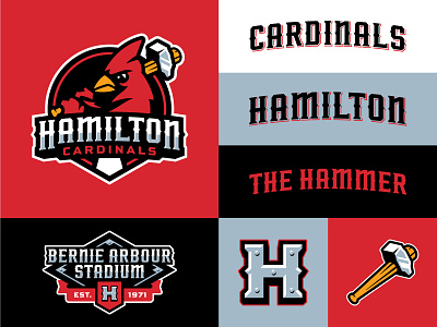 Hamilton Cardinals Rebrand anniversary baseball branding cardinal hamilton hammer illustration logo logotype mascot minor league sports stadium typeface wordmark