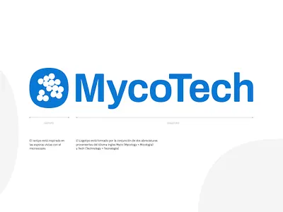 Logo design branding design identity illustration logo logotype typography vector