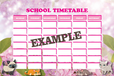 School timetable brand branding branding business design graphic design school timetable