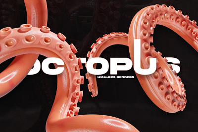 OCTOPUS RENDERS 3d branding covers design generator graphic design high illustration octopus pngs posters renders resolution tentacle textures ui ux web