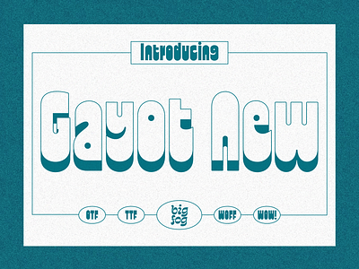 Gayot New Display Font display font display typeface font design fonts logo design logo font type design typeface typeface design typography