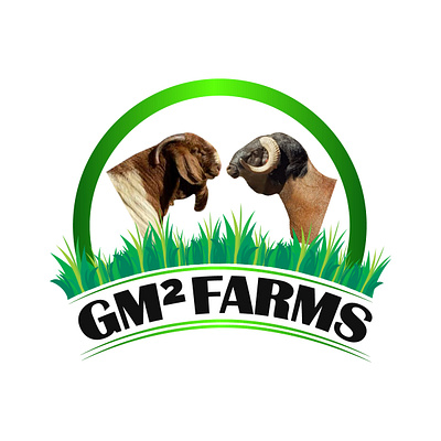 Boer Goat Farm Logo Design abstract art branding business logo creative logo custom logo designer farm logo gfx graphic design illustration logo logo type minimalistic logo pictorial printable redesign typography vector