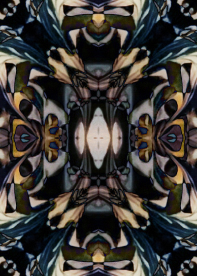 Reflection amazing beautiful design fractals gorgeous kaleidoscope pattern reflection