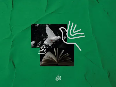 Bird book logo bird book emblem graphic design line logo logotype symbol