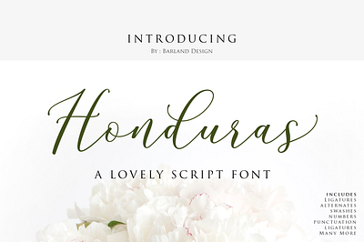 Honduras Script retro