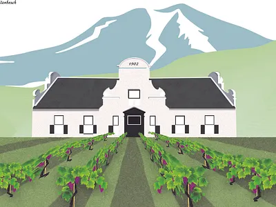 Stellenbosch 1902 branding cape town cape winelands design graphic design illustration lanscape south africa vector