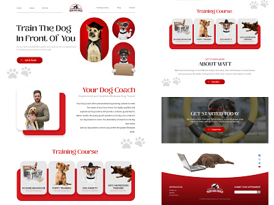 Dog Training Coach Website Design app design branding business website design dashboard design dog training e commerce fiverr graphic design landing page design minimal design motion graphics ui ui ux upwork user experience design user interface design ux ui web app web design website design