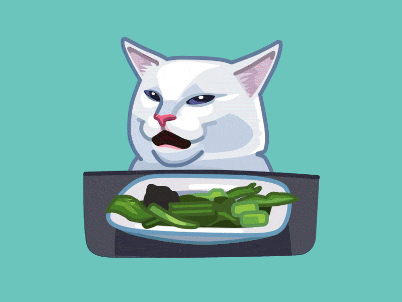 The screaming cat adobe aftereffects animals animated animation app cat celebrity design emoji face illustration logo meme people peoplememe reaction