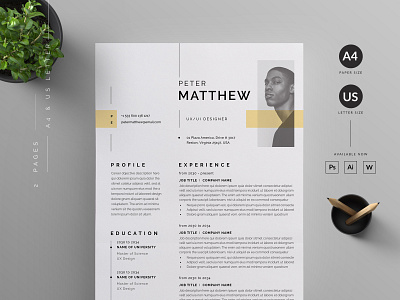 Resume/CV vector