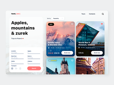 TravelBro design site travel ui ux web