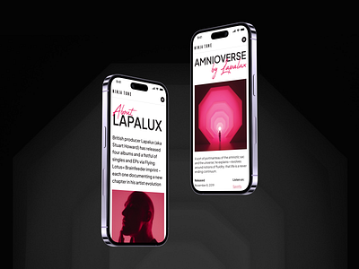Mobile version of the site for the musical band concept design interface promo ui ux