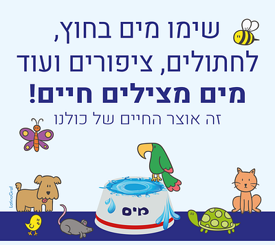 flyer animals design flyer flyers graphic design hebrew