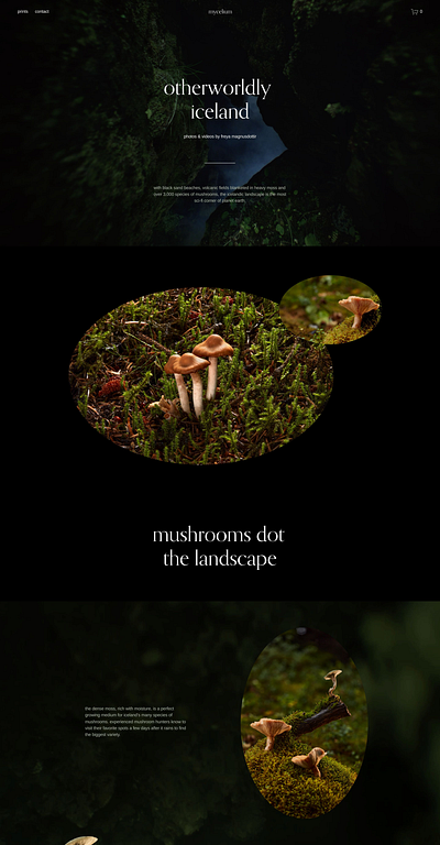 Mycelium - Website Template - Squarespace animation app blog branding concept dashboard design graphic design photography squarespace theme ui ui design user interface ux ux design web design web development website website template