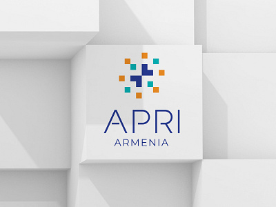 Applied Policy & Research Institute of Armenia branding graphic design logo