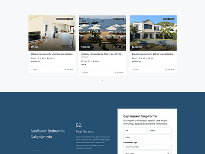 Sunflower Bodrum Realestate Agency branding design graphic design logo ui ux