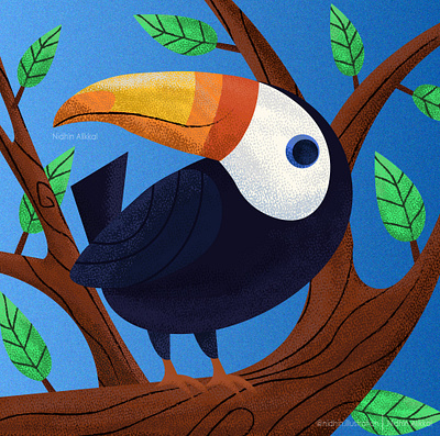 Hornbill Illustration adobe illustrator illustration illustrator