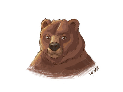 BEAR QUICK SKETCH animal animal drawing animal study bear bear drawing bear study cartoon cartoon illustration cartooning character design design digital painting grizzly grizzly drawing illustration ipad drawing procreate quick sketch sketch