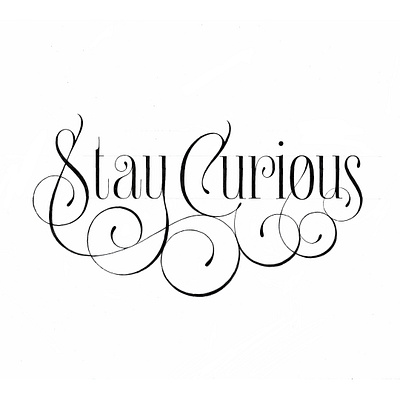 Stay Curious Sketch branding calligraphy design flourishes font font logo graphic design hand lettering hand lettering illustration lettering logo logotype sketch vector wordmark